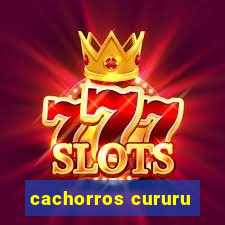 cachorros cururu